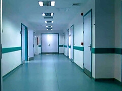 Жопа, Большая жопа, Большой член, Блондинки, Грудастые, Собачьи, Межрасовый секс, Натуральные сиськи