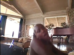 Anal, Culo, Culo grande, Negro, Mamada, Estilo perrito, Sexo duro, Montar