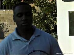 In den arsch, Grosser schwanz, Schwarz, Spermaladung, Schwarz, Hardcore, Flotter dreier, Titten