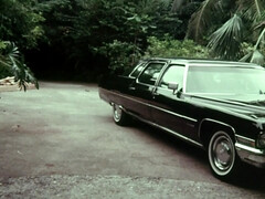 Kont, Grote kont, Grote mammen, Blond, Pijpbeurt, Lul, Hd, Tieten likken