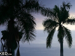 In den arsch, Braunhaarige, Französisch, Interrassisch, Lecken, Zierlich, Muschi, Titten