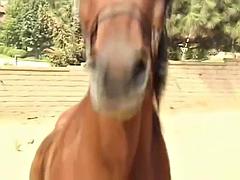 Marc wallice: Big Tits, Blowjob  Anal Porn