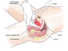 お尻, 美人, 茶髪の, 巨乳な, カワイイ, ハードコア, 天然, ロシア人