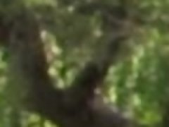 Amateur, Mamada, Estilo perrito, Pajear, Al aire libre, Pov, Nalgadas, Chorro