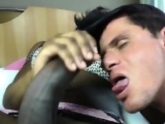 Negro, Mamada, Ébano, Hd, Transexual