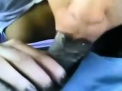 Amateur, Mamada, Corridas, Corridas faciales, Pov