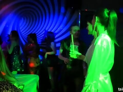 Lieveling, Gek, Erotisch, Handbeurt, Hardcore, Orgie, Feest, Tieten likken