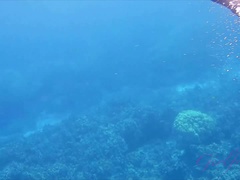 フェラチオ, 足, 彼女, キッチン, オーガズム, 小柄, オマンコ, 剃毛