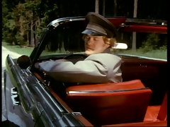 Красотки, Минет, Семяизвержение, Смазливые, Группа, Волосатые, Секс без цензуры, Винтаж