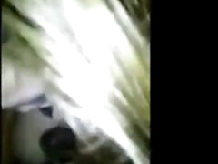 Любители, Азиатки, Черные, Минет, Брюнетки, Член, Хд, Сосущие