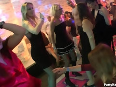 Grosser schwanz, Spermaladung, Schwanz, Gruppe, Lingerie, Orgie, Swingers, Titten