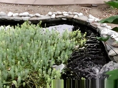 Arsch, Blasen, Schwanz, Gruppensex, Interrassisch, Natürlich, Im freien, Titten