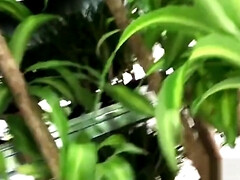 Afrikaans, Mooie dikke vrouwen, Pijpbeurt, Classisch, Lul, Zwart, Hd, Tieten likken