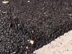 Japanese teenager pisses