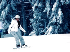 Sucer une bite, Brunette brune, Queue, En levrette, Grosse, Hd, Rasée, Nénés