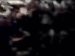 Pijpbeurt, Bruinharig, Hd, Indisch