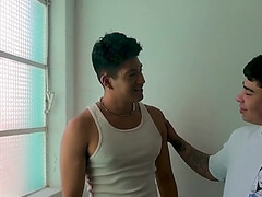 18 jaar, Anaal, Grote lul, Braziliaans, Hd, Geschoren, Spaans, Billekoek