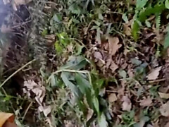 Amateur, Mamada, Coño, Afeitado