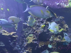 Blasen, Braunhaarige, Fingern, Freundin, Pov, Rasiert, Dürr, Spanner