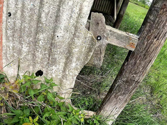 Bondage discipline sadomasochisme, Dominatie, Flashing, Buiten, Openbaar, Straf, Billekoek, Tieten likken