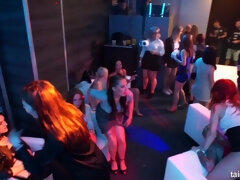 Chica, Erótico, Grupo, Pajear, Sexo duro, Orgía, Fiesta, Tetas