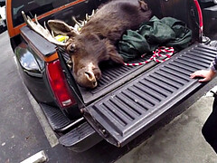 Amateur, Gros seins, Blonde, Brunette brune, Branlette thaïlandaise, Pov, Chatte, Tatouage