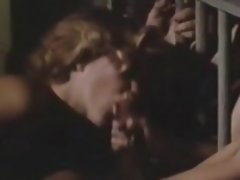 Enthousiasteling, Blond, Pijpbeurt, Groep, Harig, Oud