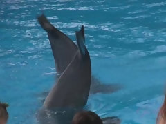 Amateur, Salle de bains, Masturbation, Mamelons bombés, Chatte, Nénés, Jouets, Vibromasseur