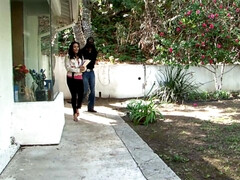 Enthousiasteling, Grote mammen, Pijpbeurt, Sperma shot, Lul, Handbeurt, Interraciaal, Tiener