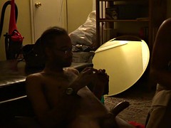 Leie, Grosser schwanz, Interrassisch, Latina