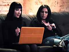 Bruinharig, Hd, Tatoeage, Trio