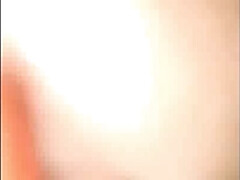 Bruinharig, Lul, Hd, Indisch