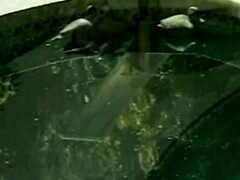 Gee Your Black Ass Stretches - Ebony babe ass fucked outdoors by the pool