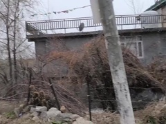 Большой член, Большие сиськи, Грудастые, Парочка, Член, Толстые, Милф, Голышом