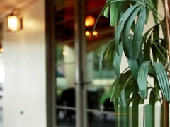 素人, アメリカ人, カワイイ, イマラチオ, チン, Hd, スインガー, オッパイの