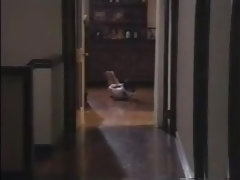 Amateur, Asiático, Sadomasoquismo, Tetas grandes, Morena, Fetiche, Japonés