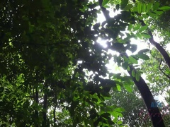 Morena, Penetracion con dedos, Novia, Pajear, Orgasmo, Al aire libre, Público, Coño