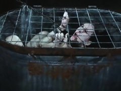 Bondage domination sadisme masochisme, Sucer une bite, Brunette brune, Fétiche, Hard