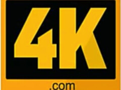 Grote mammen, Zwart, Bruinharig, Rondborstig, Hondjeshouding, Hardcore, Natuurlijke tieten, Tieten likken