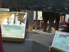 Жопа, Брюнетки, Дрочка ногами, Волосатые, Лесбиянка, От первого лица, Пухлые соски, Сиськи