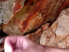 Американки, Пляж, Минет, Член, Оргазм, От первого лица, Студентка, Молоденькие