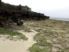 Cul, Sucer une bite, Plantureuse, Tir de sperme, Gorge profonde, Hd, Japonaise, De plein air