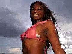 Amateur, Noire, Noir ébène, Réalité