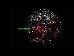 Foot Smell Fetish - Feet Slave