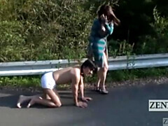 Dazzling bunny's subtitles movie