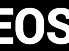 Culo grande, Tetas grandes, Ébano, Gorda, Desnudo, Coño, Tetas, Mojado