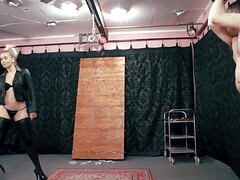 緊縛, 美人, ブロンド, フェラチオ, 巨乳な, カワイイ, フェムドム, オマンコ