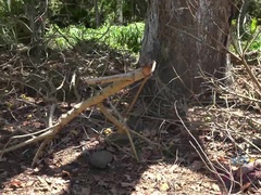 Papá, Despelote, Novia, Gafas, Besar, Masturbación, Público, Mojado