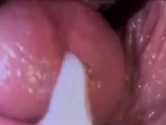 Amateur, Éjaculation interne