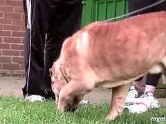 British MILF auditions with big dick, milf, and hot doggystyle action in HD